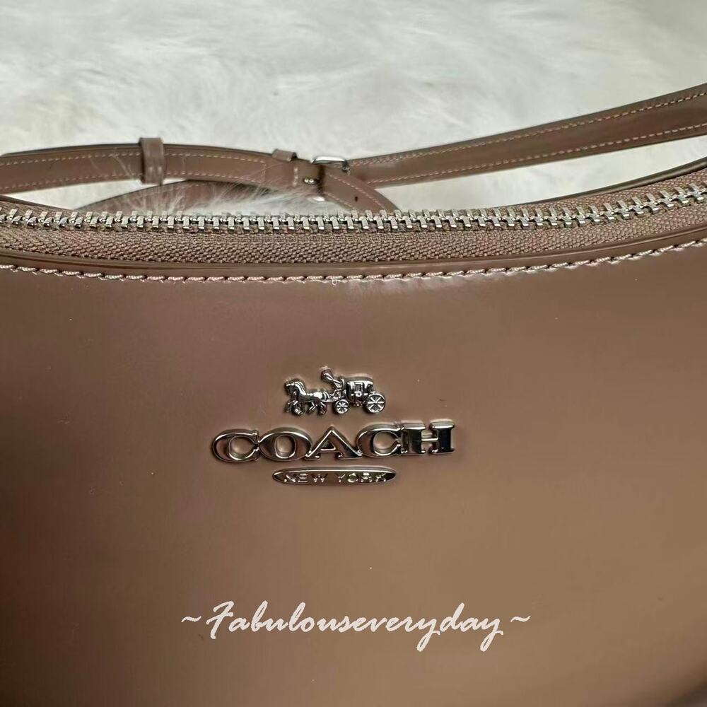 Coach Teri Shoulder Bag Crossbody In Leather Silver/Clay CV938 NWT - Picture 8 of 11
